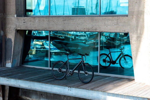 Amsterdam plus electric bike maintenance Lekker Bikes