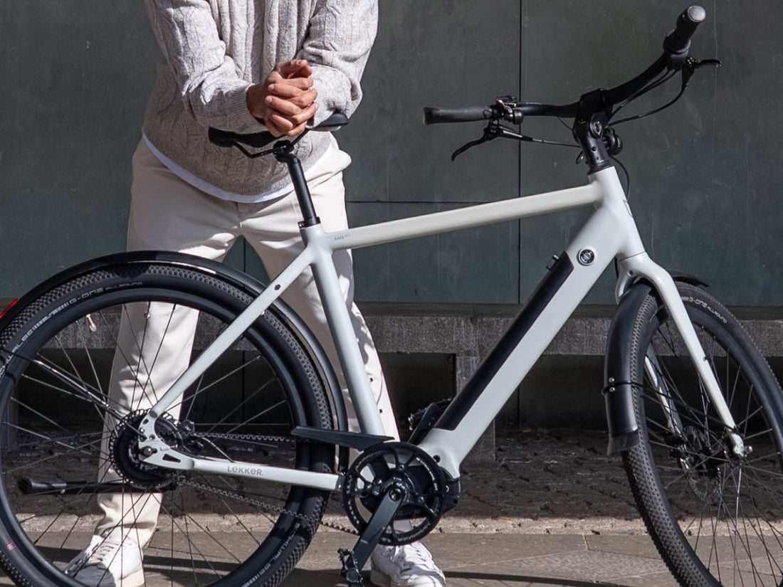 Choosing the Perfect Frame Size for Your LEKKER eBike