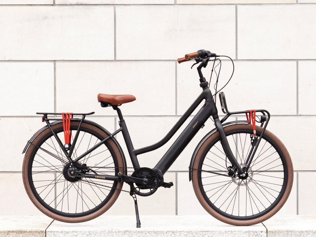 User guide for the Enviolo manual stepless gear shifter