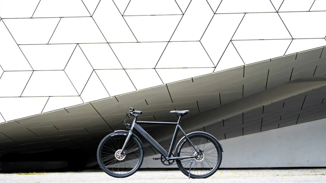Lekker Bikes stylish Amsterdam plus ebike in black