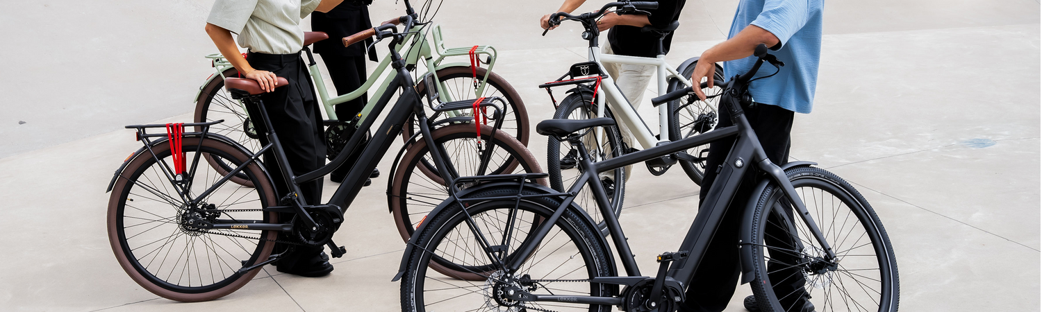Premium Dutch eBikes Shop now LEKKER Bikes Lekker Bikes