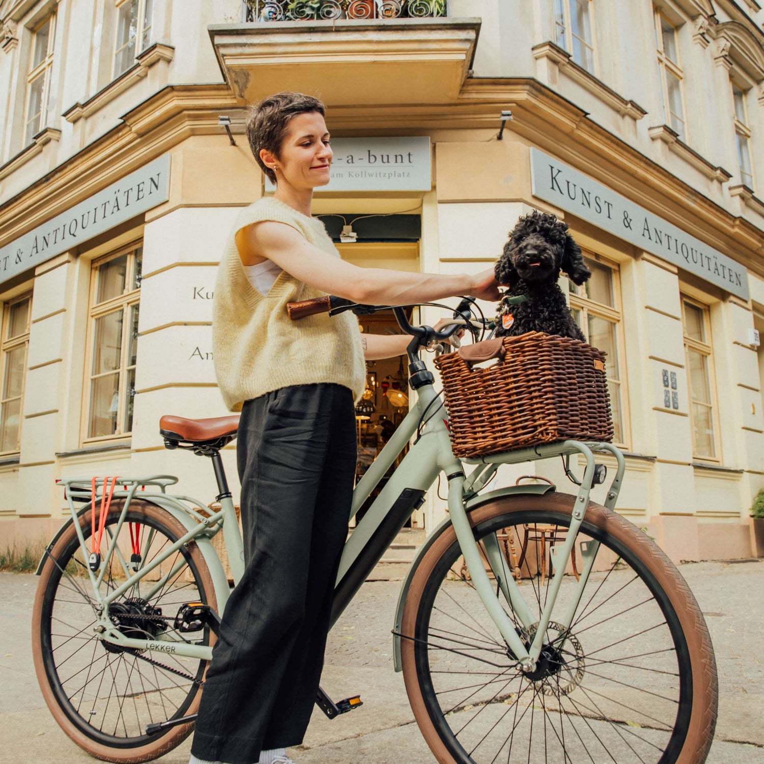 Woman with Jordaan GT electric bike with dog in basket