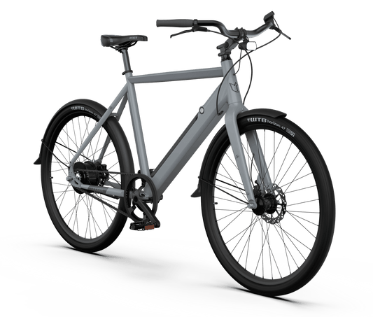 Amsterdam plus mineral grey electric bike